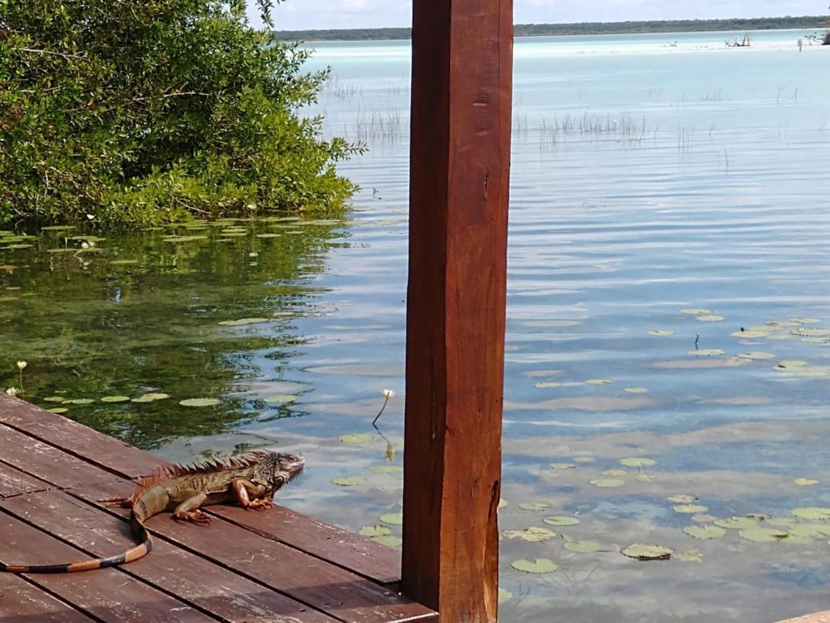 Bed and Breakfast Casa Shiva Bacalar By Mij Екстер'єр фото